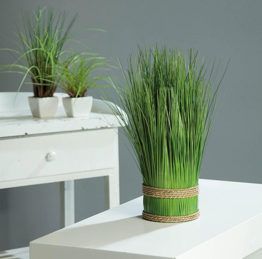 Декоративна трава - примјена у пејзажном дизајну